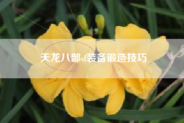 天龙八部sf装备锻造技巧