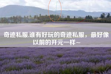 奇迹私服,谁有好玩的奇迹私服，最好像以前的开元一样~