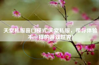 天堂私服窗口模式,天堂私服，带你体验不一样的游戏世界！