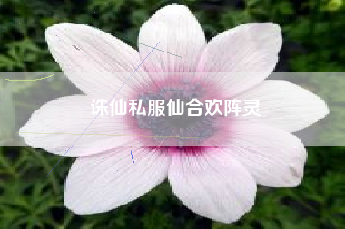 诛仙私服仙合欢阵灵