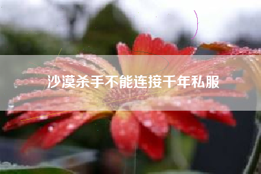 沙漠杀手不能连接千年私服