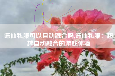 诛仙私服可以自动融合吗,诛仙私服：超越自动融合的游戏体验