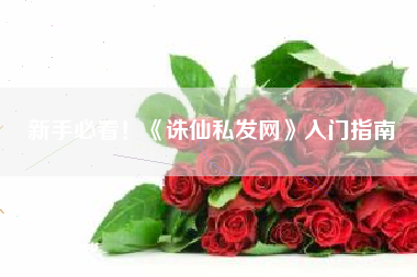 新手必看！《诛仙私发网》入门指南