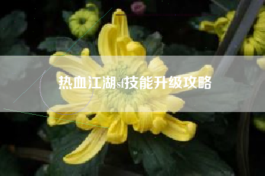 热血江湖sf技能升级攻略