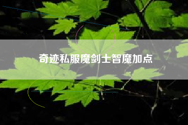 奇迹私服魔剑士智魔加点
