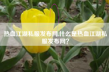 热血江湖私服发布网,什么是热血江湖私服发布网？