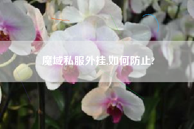 魔域私服外挂,如何防止?