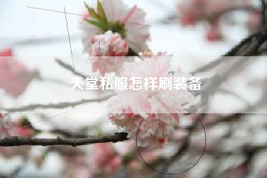 天堂私服怎样刷装备