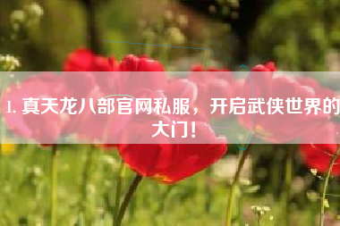 1. 真天龙八部官网私服，开启武侠世界的大门！