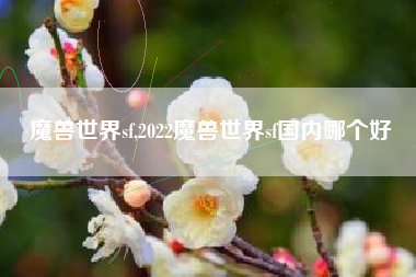 魔兽世界sf,2022魔兽世界sf国内哪个好