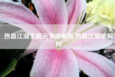 热血江湖无限元宝破解版,热血江湖破解码