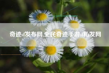 奇迹sf发布网,全民奇迹手游sf私发网