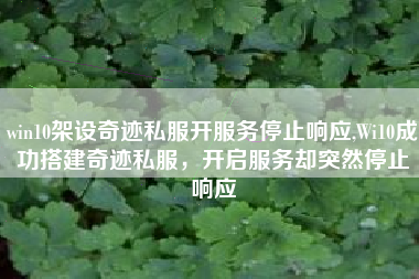 win10架设奇迹私服开服务停止响应,Wi10成功搭建奇迹私服，开启服务却突然停止响应