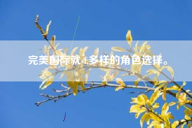 完美国际就sf,多样的角色选择。