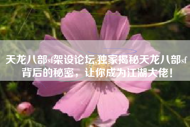 天龙八部sf架设论坛,独家揭秘天龙八部sf背后的秘密，让你成为江湖大佬！