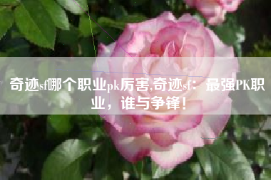 奇迹sf哪个职业pk厉害,奇迹sf：最强PK职业，谁与争锋！