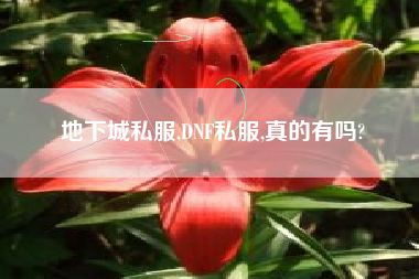 地下城私服,DNF私服,真的有吗?