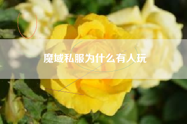 魔域私服为什么有人玩