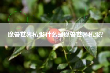 魔兽世界私服,什么是魔兽世界私服？