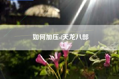 如何加压sf天龙八部