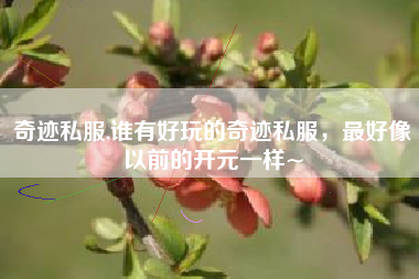 奇迹私服,谁有好玩的奇迹私服，最好像以前的开元一样~