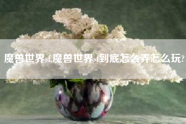 魔兽世界sf,魔兽世界sf到底怎么弄怎么玩?