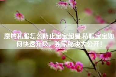 魔域私服怎么防止宝宝超星,私服宝宝如何快速升级，独家秘诀大公开！
