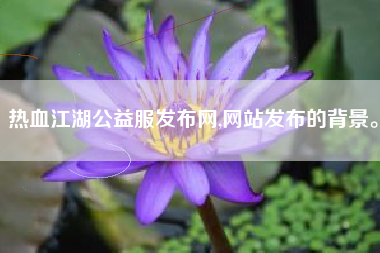 热血江湖公益服发布网,网站发布的背景。