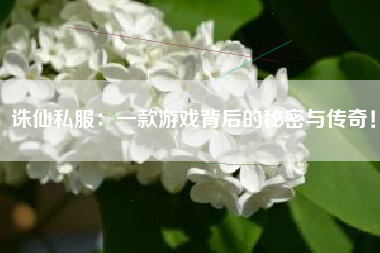 诛仙私服：一款游戏背后的秘密与传奇！