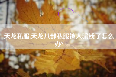 天龙私服,天龙八部私服被人骗钱了怎么办?