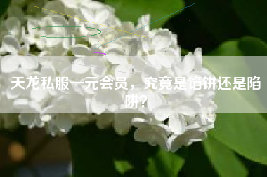 天龙私服一元会员,究竟是馅饼还是陷阱?