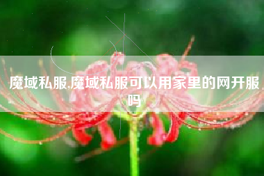 魔域私服,魔域私服可以用家里的网开服吗