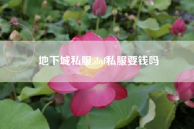 地下城私服,dnf私服要钱吗