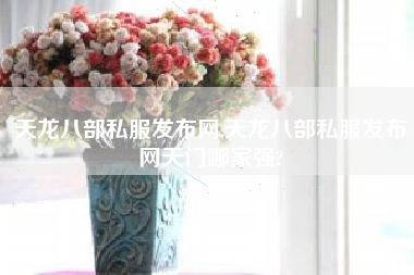 天龙八部私服发布网,天龙八部私服发布网天门哪家强?