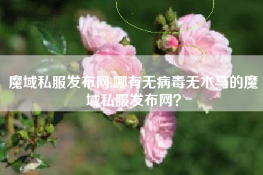 魔域私服发布网,哪有无病毒无木马的魔域私服发布网?
