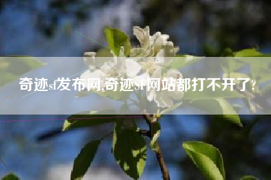 奇迹sf发布网,奇迹SF网站都打不开了?