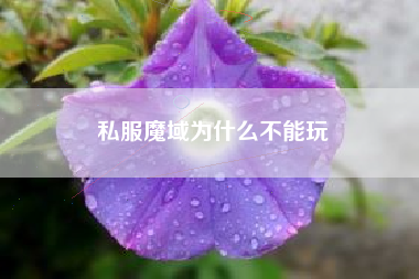 私服魔域为什么不能玩