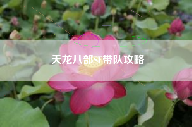 天龙八部SF带队攻略