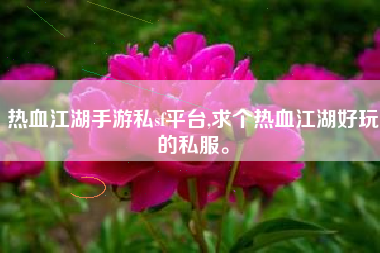 热血江湖手游私sf平台,求个热血江湖好玩的私服。