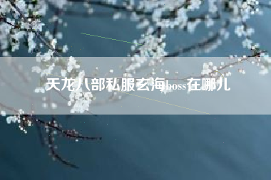 天龙八部私服玄海boss在哪儿