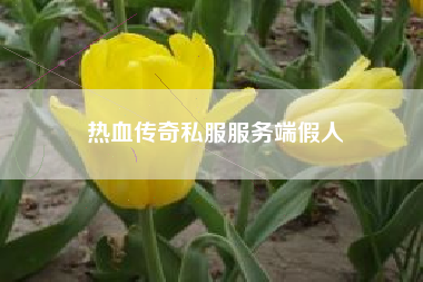热血传奇私服服务端假人
