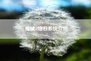 魔域sf赌石系统介绍