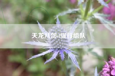 天龙八部sf强行组队