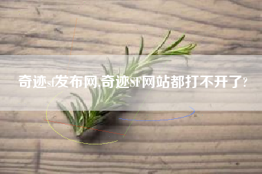 奇迹sf发布网,奇迹SF网站都打不开了?