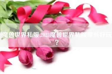 魔兽世界私服,2023魔兽世界私服哪些好玩？