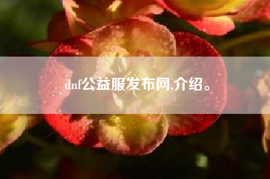 dnf公益服发布网,介绍。