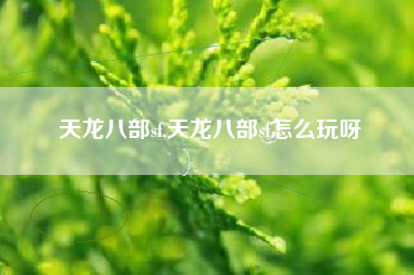 天龙八部sf,天龙八部sf怎么玩呀