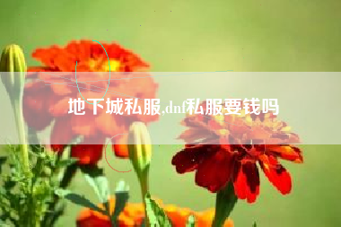 地下城私服,dnf私服要钱吗