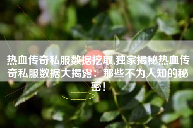 热血传奇私服数据挖取,独家揭秘热血传奇私服数据大揭露：那些不为人知的秘密！