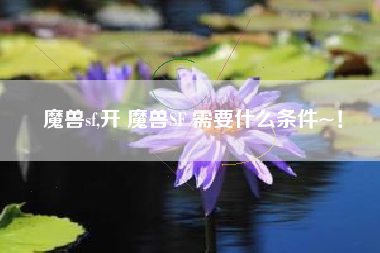 魔兽sf,开 魔兽SF 需要什么条件~！